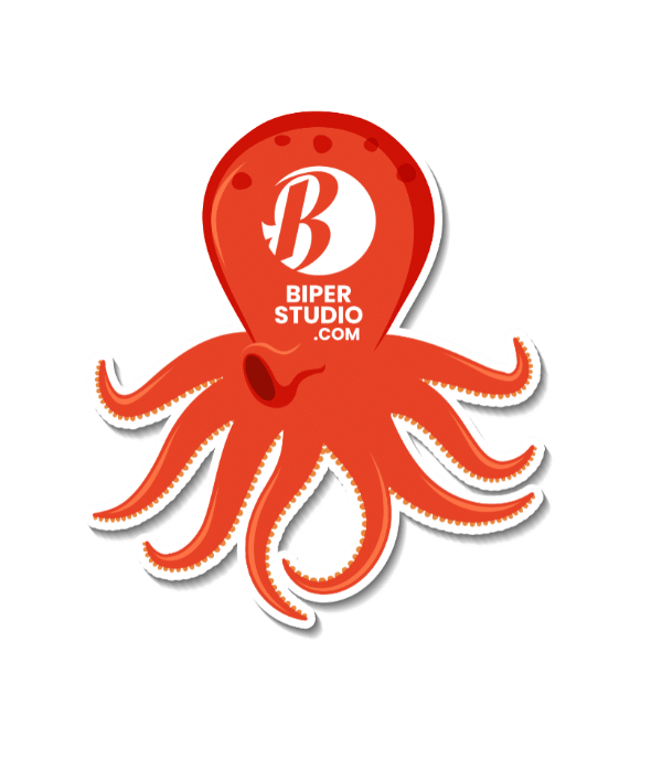 Agence digitale à marseille Biper studio octopus transparent
